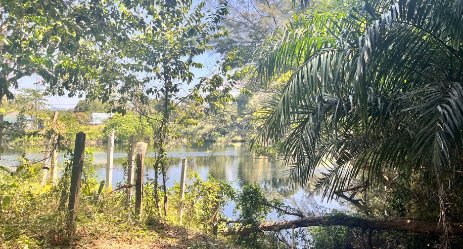 Grundstück zum Kauf in Thai Mueang, Phang Nga