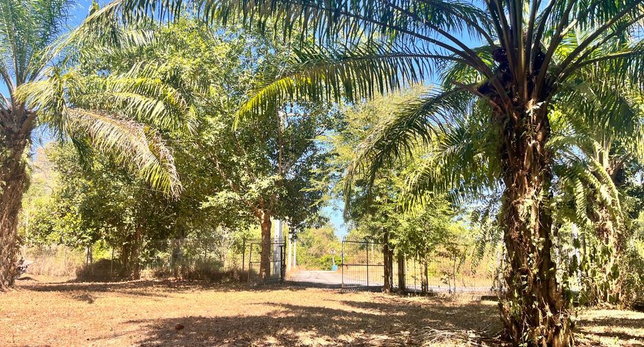 Grundstück zum Kauf in Thai Mueang, Phang Nga