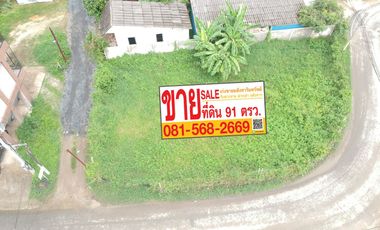 ขาย ที่ดิน ใน เมืองเชียงใหม่, เชียงใหม่