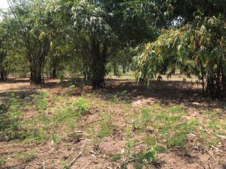 For sale land in Mueang Pathum Thani, Pathum Thani