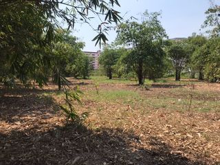 For sale land in Mueang Pathum Thani, Pathum Thani