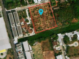 For sale land in Mueang Pathum Thani, Pathum Thani