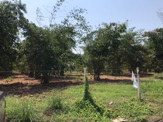 For sale land in Mueang Pathum Thani, Pathum Thani
