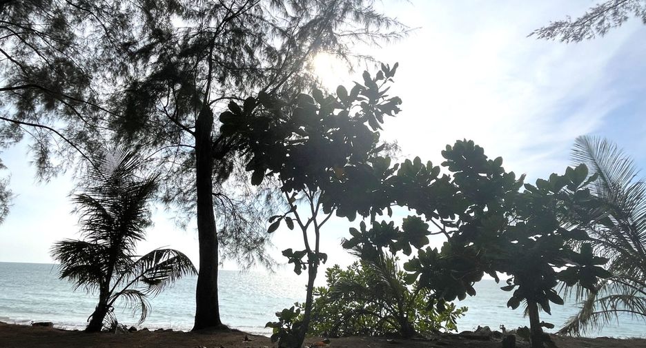 For sale land in Takua Pa, Phang Nga