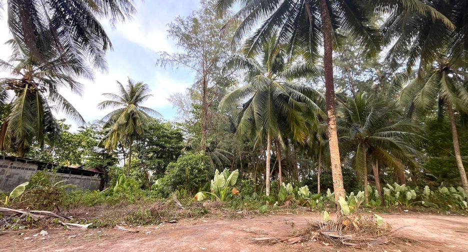 For sale land in Takua Pa, Phang Nga