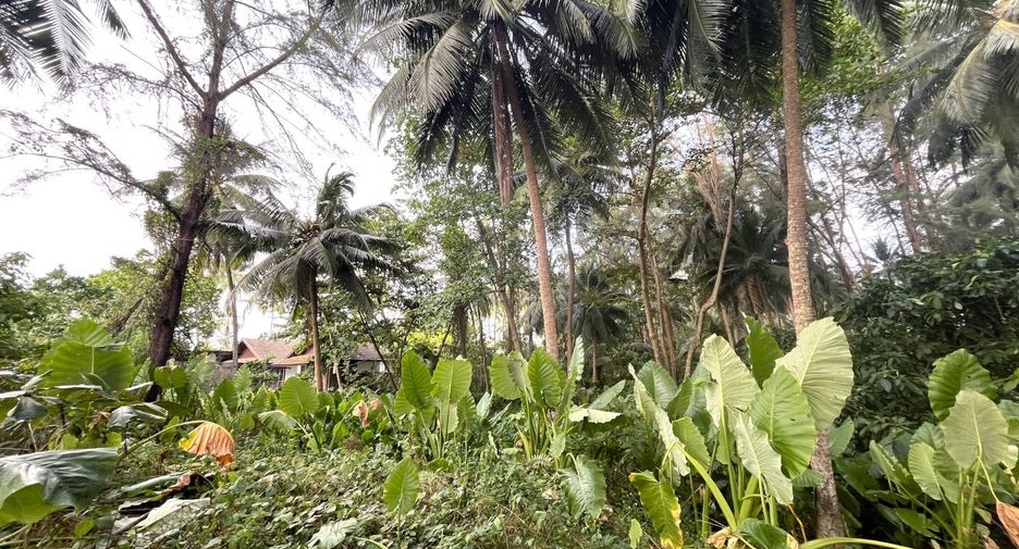For sale land in Takua Pa, Phang Nga