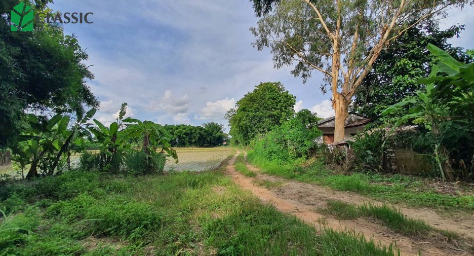For sale land in Mueang Chiang Rai, Chiang Rai