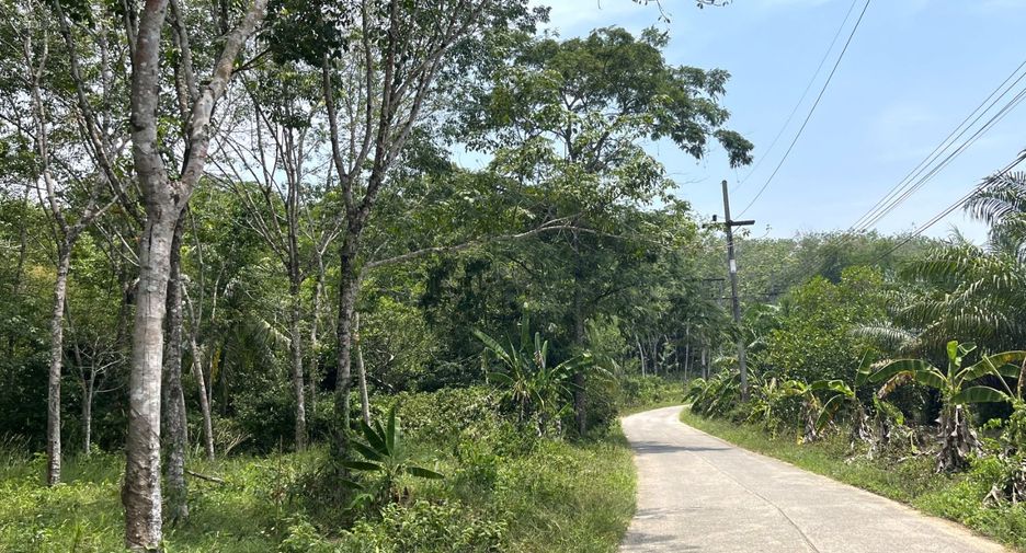 For sale land in Thai Mueang, Phang Nga