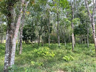 À vendre terrain à Thai Mueang, Phang Nga