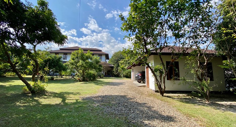 For rent and for sale 4 bedrooms house in Mae Rim, Chiang Mai