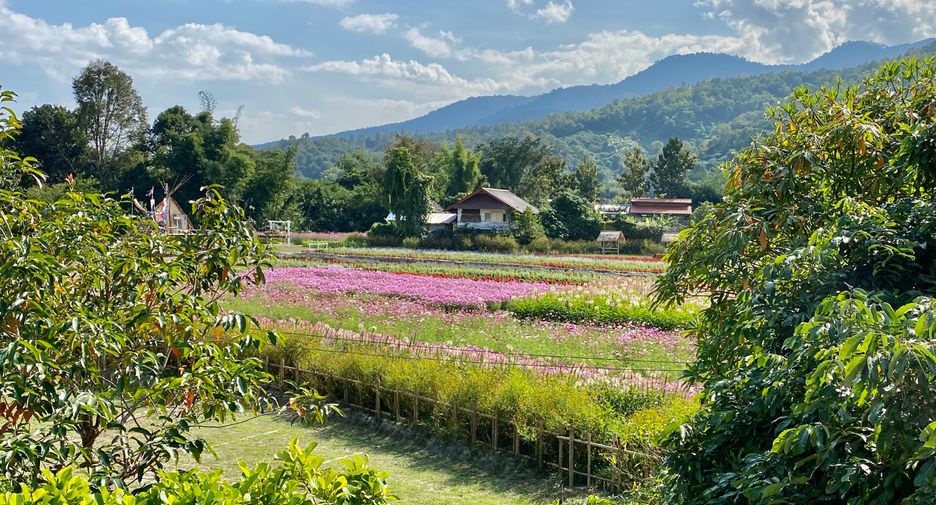 For rent and for sale 4 bedrooms house in Mae Rim, Chiang Mai