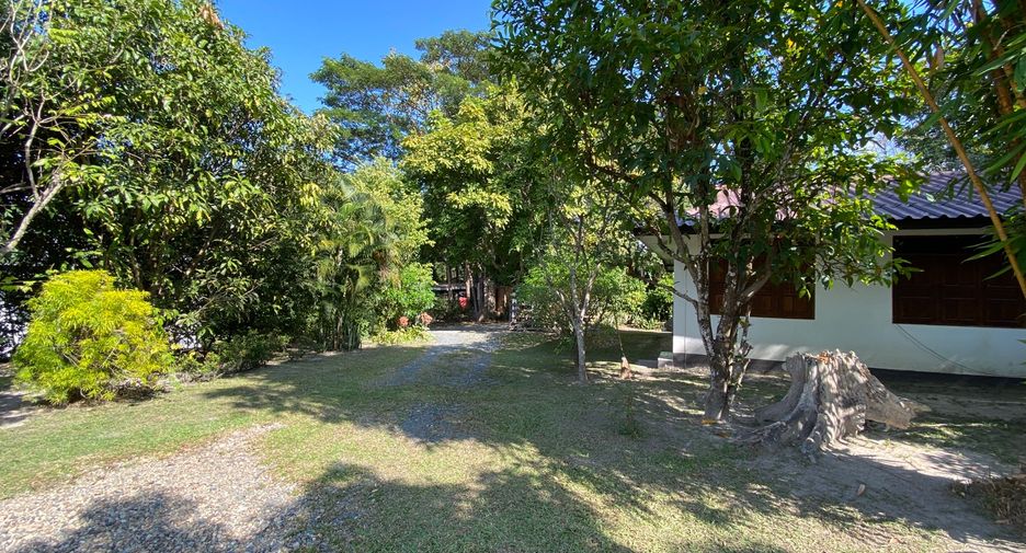 For rent and for sale 4 bedrooms house in Mae Rim, Chiang Mai