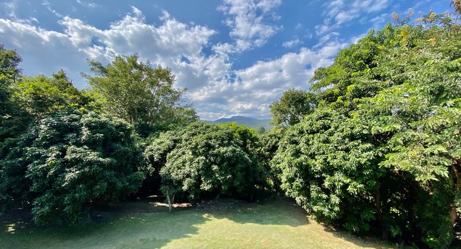 For rent and for sale 4 bedrooms house in Mae Rim, Chiang Mai