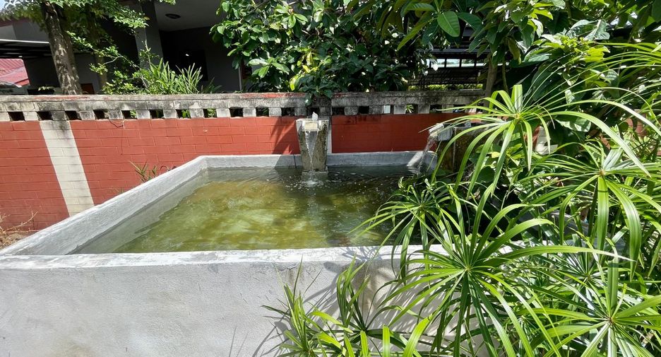 Haus zum Kauf mit 4 Zimmer in San Sai, Chiang Mai