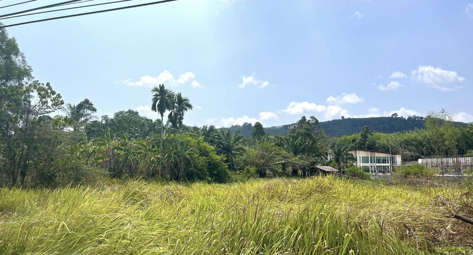 For sale land in Takua Thung, Phang Nga