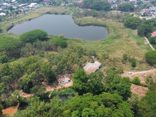 For rent land in Mueang Chiang Mai, Chiang Mai