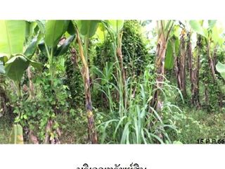 出售 土地 在 Si Samrong, Sukhothai