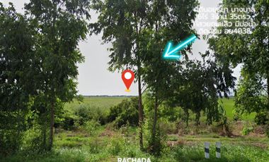For sale land in Bang Ban, Phra Nakhon Si Ayutthaya