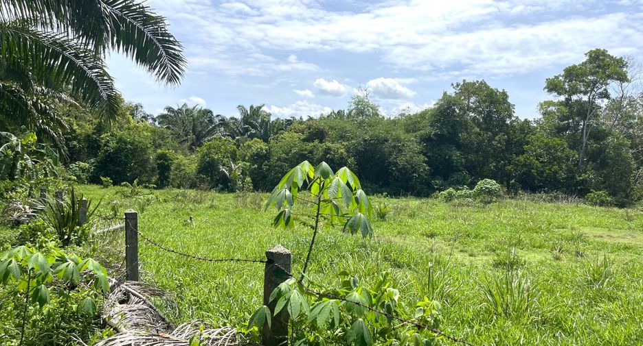 Grundstück zum Kauf in Thai Mueang, Phang Nga