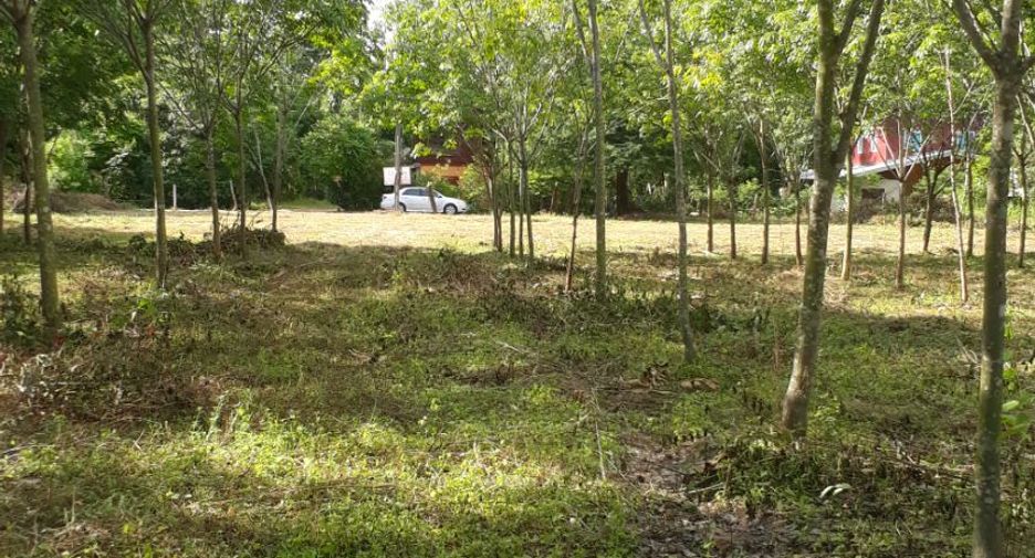 For sale land in Huai Phueng, Kalasin