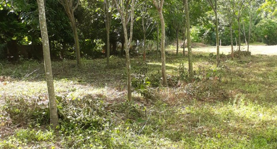 For sale land in Huai Phueng, Kalasin