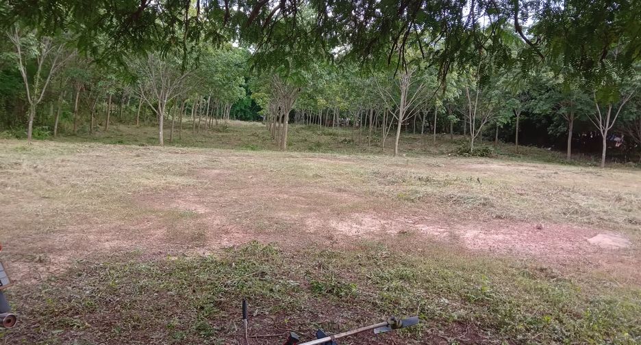 For sale land in Huai Phueng, Kalasin