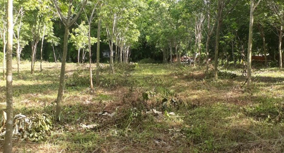 For sale land in Huai Phueng, Kalasin