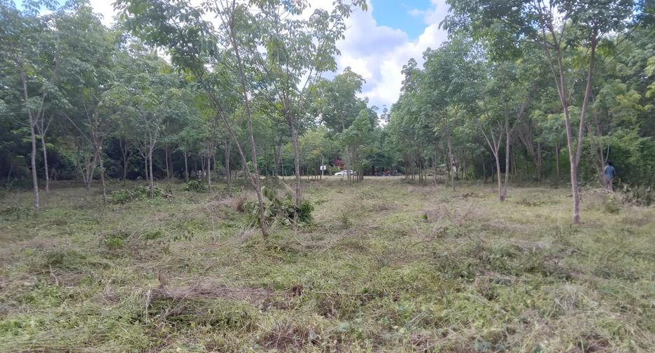 For sale land in Huai Phueng, Kalasin