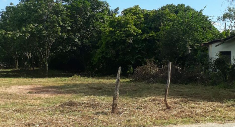 For sale land in Huai Phueng, Kalasin