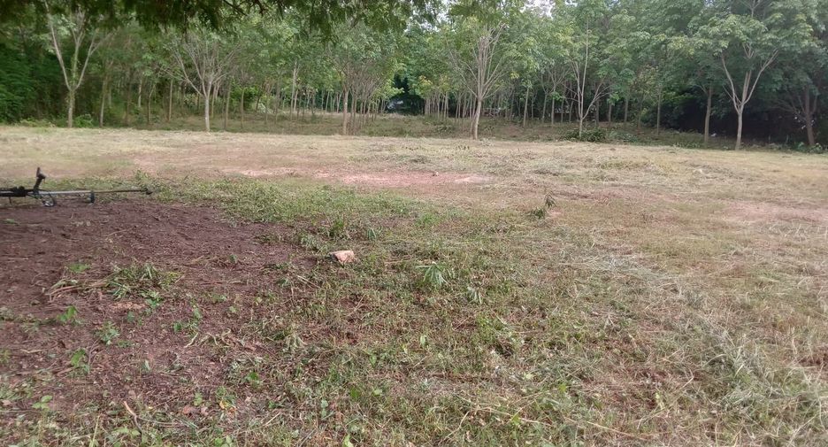 For sale land in Huai Phueng, Kalasin