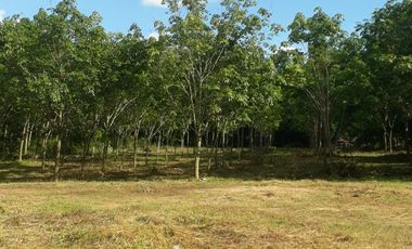 For sale land in Huai Phueng, Kalasin
