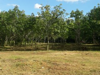 For sale land in Huai Phueng, Kalasin