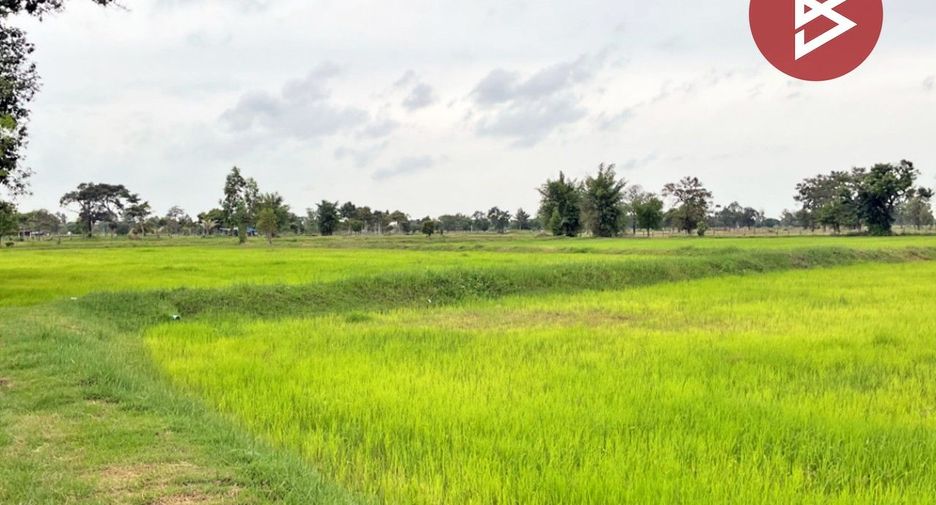 For sale land in Wapi Pathum, Maha Sarakham