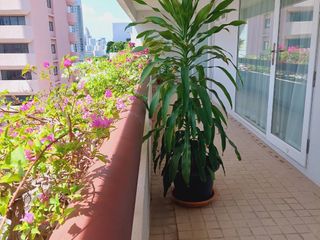 Apartment zur Miete mit 3 Zimmer in Yan Nawa, Bangkok