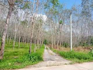 For sale land in Takua Thung, Phang Nga