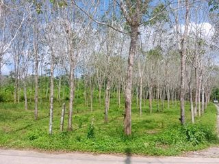 For sale land in Takua Thung, Phang Nga