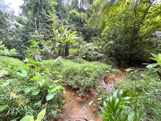 For sale land in Takua Thung, Phang Nga