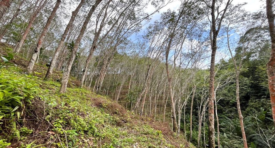 Terreno en venta en Takua Thung, Phang Nga
