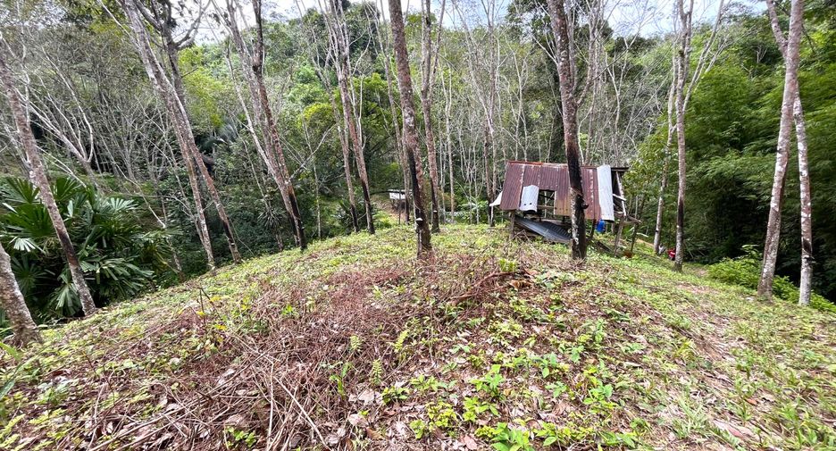 Terreno en venta en Takua Thung, Phang Nga