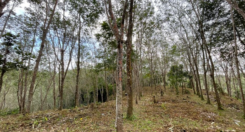 Terreno en venta en Takua Thung, Phang Nga