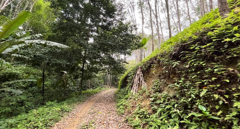 Terreno en venta en Takua Thung, Phang Nga