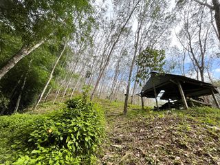 For sale land in Takua Thung, Phang Nga