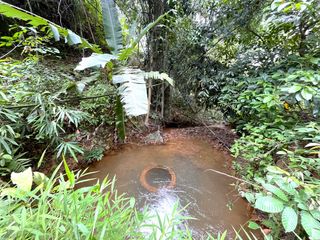 For sale land in Takua Thung, Phang Nga