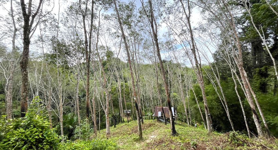 Terreno en venta en Takua Thung, Phang Nga