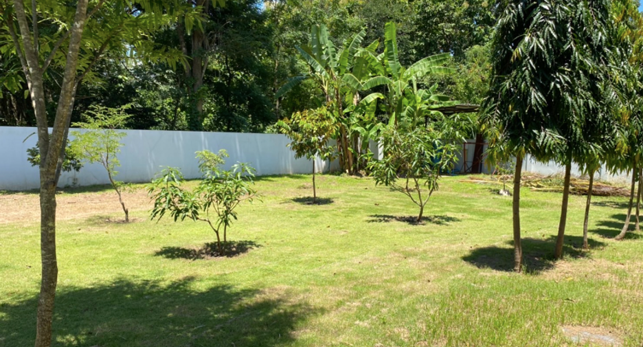 For rent and for sale 5 bedrooms villa in San Sai, Chiang Mai