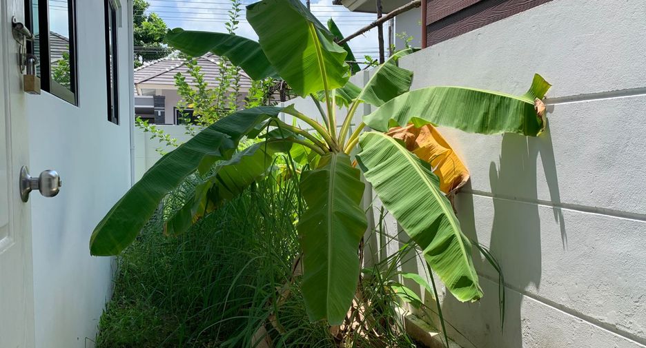 For sale 3 bedrooms house in Phan Thong, Chonburi