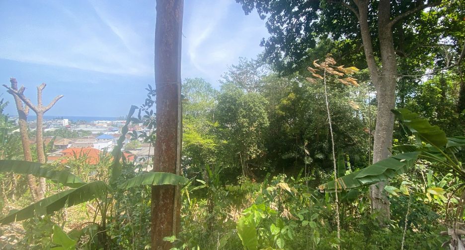 For sale land in Kathu, Phuket