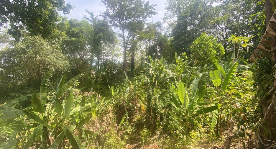 For sale land in Kathu, Phuket