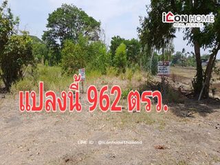 For sale land in Bang Sai, Phra Nakhon Si Ayutthaya
