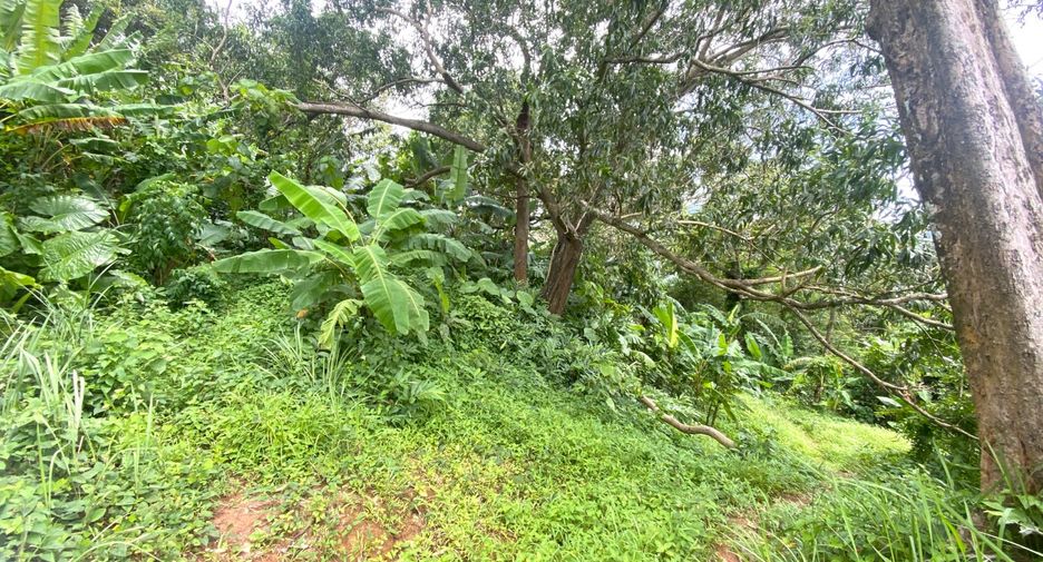 For sale land in Kathu, Phuket